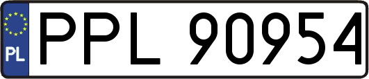 PPL90954