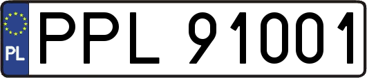 PPL91001
