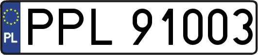 PPL91003