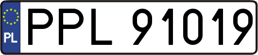 PPL91019
