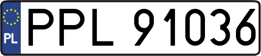 PPL91036
