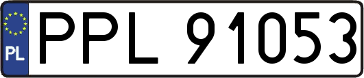 PPL91053