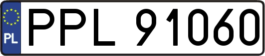PPL91060