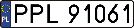 PPL91061
