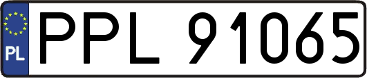 PPL91065