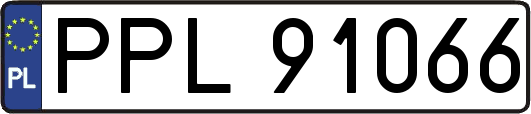 PPL91066