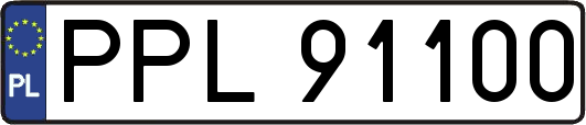 PPL91100
