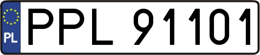 PPL91101