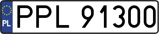 PPL91300