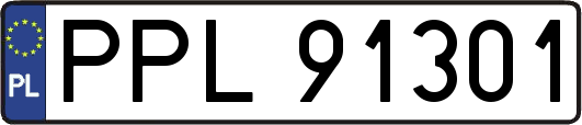 PPL91301