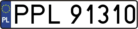 PPL91310