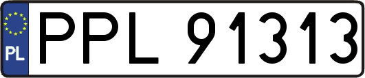 PPL91313