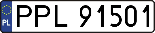 PPL91501