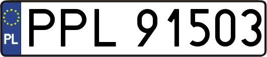 PPL91503