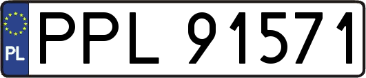 PPL91571