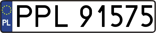 PPL91575
