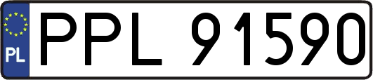 PPL91590