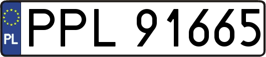 PPL91665