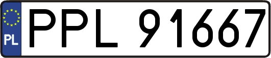 PPL91667