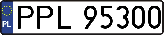 PPL95300