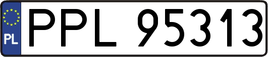 PPL95313