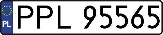 PPL95565
