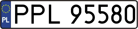 PPL95580