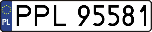 PPL95581