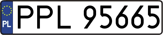 PPL95665