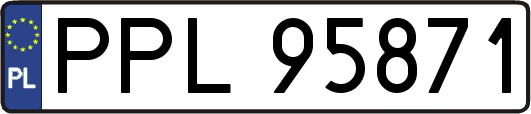 PPL95871
