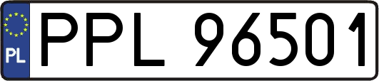 PPL96501