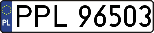 PPL96503