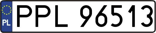 PPL96513
