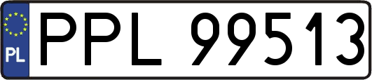 PPL99513