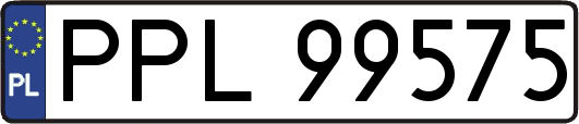PPL99575