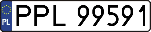 PPL99591
