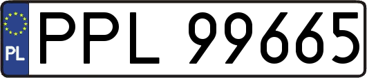 PPL99665