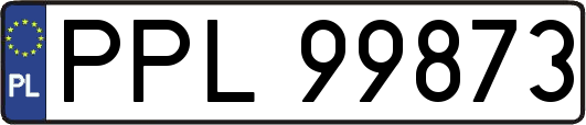 PPL99873