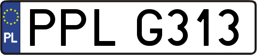 PPLG313