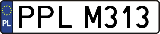 PPLM313
