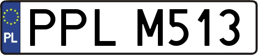 PPLM513