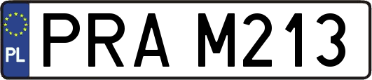 PRAM213