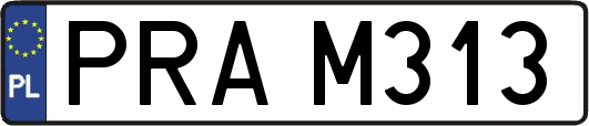 PRAM313