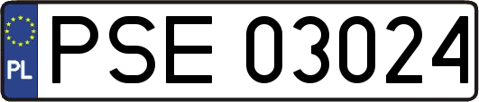 PSE03024