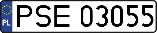 PSE03055