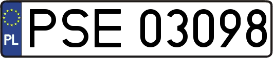 PSE03098