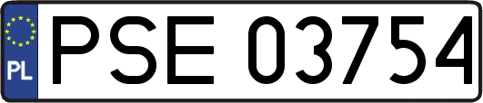 PSE03754