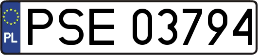 PSE03794