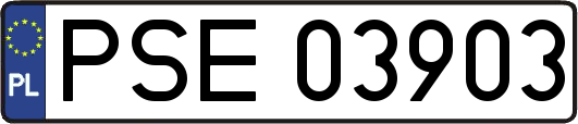 PSE03903