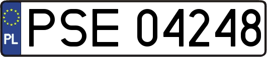 PSE04248